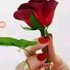 osman.abdalla03