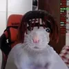 nalesnik_007