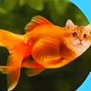 sammy_18378