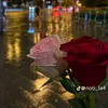 maryam70108