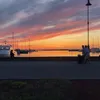 hillevi._1