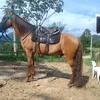 adilio.dos.santos