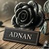 rana.adnan5342