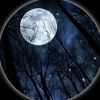 norii_anno20_13