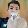 harry.iskandar