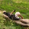 nathlong_jee05