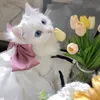 nwnwjms