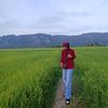 cikdasharee