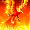hoavuong568