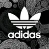 user1188465636812