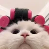 _kittyyy_ni