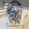 lslesen_brothers