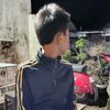 sayaribel