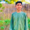mustafabahayee