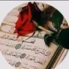 user743855008174
