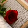 ahmed.mohammed6468