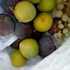 fouadaboud5