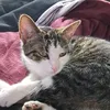 lotti8969