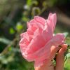 md.ellias3