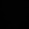danis_27032