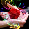 nhan017040