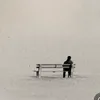 vx_di4n