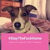 fiona.mcdiarmid7