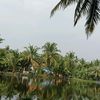 budak_desa1234