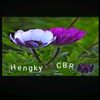 hengkycbr6