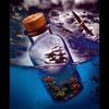 raghad.mohamed5