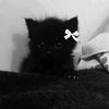 giminbo_05