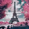 raj_aryan83