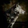 ghost_wolf_271