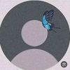 halealnaser2