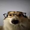heuteistheutek