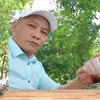 Dương Trần