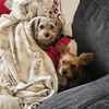 willowandwilber