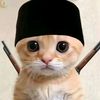 aqilafikri147