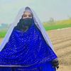 shazillabibi2
