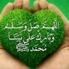 محمد مصطفى