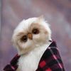 wafaa_bajuneid