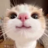 Làm lại từ đầu