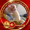 chipanda0405