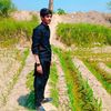 mustafaking3294