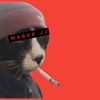 pandrytemplate27
