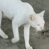 lolololo_789