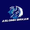 aslomh.brkan5