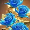 bushra_qr