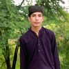 shayan302king804