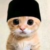 mohammadrizky971